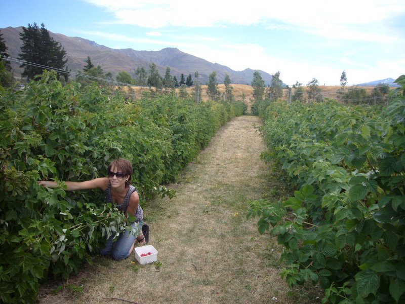 Travel - New Zealand - Wanaka